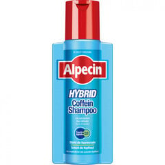 Shampoo herkälle tai kutisevalle päänahalle Alpecin Shampoo Hybrid Caffeine, 250 ml hinta ja tiedot | Shampoot | hobbyhall.fi