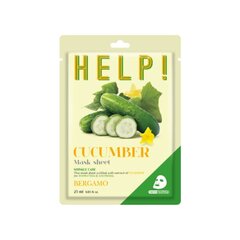 BERGAMO Apua! Cucumber Mask Sheet 25 ml - Sileyttävä naamiolevy kurkkuuutteella BERGAMO HELP! hinta ja tiedot | Kasvonaamiot ja silmänalusaamiot | hobbyhall.fi