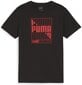 Puma T-Paita Graphics Wor Tee Black 680298 01 680298 01/140 hinta ja tiedot | Poikien paidat | hobbyhall.fi