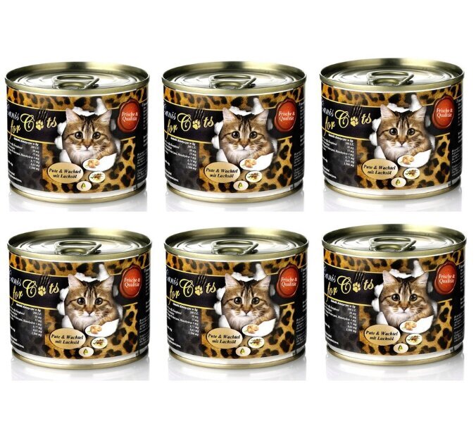 O'Canis kissanruoka kalkkuna-, viiriä- ja lohiöljyllä, 6x200 g hinta ja tiedot | Kissanruoka | hobbyhall.fi