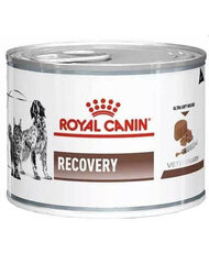 Royal Canin Vet Dog/Cat recovery ravintovalmiste kissoille ja koirille, 195 g hinta ja tiedot | Koiran märkäruoka | hobbyhall.fi