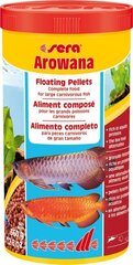 Ruoka petokaloille Sera Arowana, 1000 ml hinta ja tiedot | Kalanruoka | hobbyhall.fi