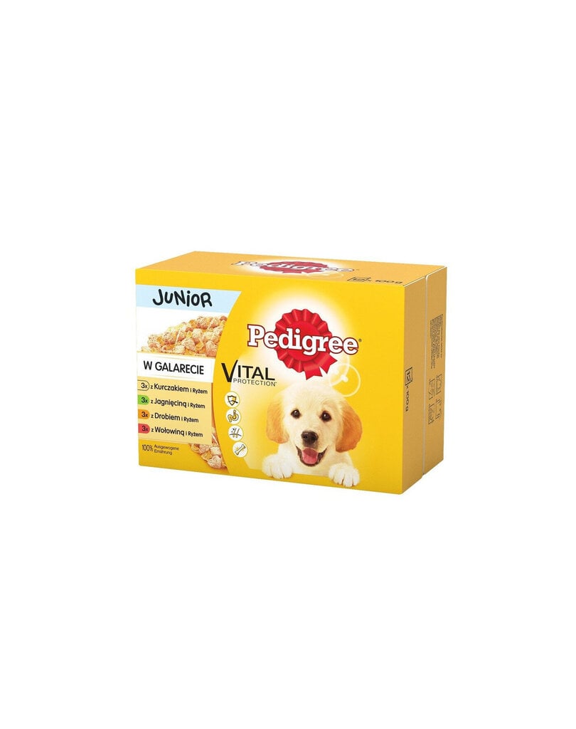 Pedigree Juniori 36+12 ravinto koiran pennuille, 100g hinta ja tiedot | Koiran märkäruoka | hobbyhall.fi