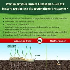 Veddelholz Lawn Pellets Regeneration Lawn - nurmikon siemenet vankan ja kestävän nurmikoneen - ruohon siementen kylvölle ja kylvölle siemenruoholle hinta ja tiedot | Kasvisten siemenet | hobbyhall.fi