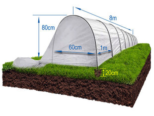 Standarts 8M, Kasvatushuppu hinta ja tiedot | Kasvihuoneet | hobbyhall.fi