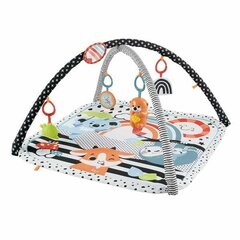 Opetusmatto valo- ja leikkieläimellä Fisher Price, HBP41 hinta ja tiedot | Leikkimatot | hobbyhall.fi