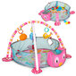 Leikkimatto 3in1 Eco Toys 88970 hinta ja tiedot | Leikkimatot | hobbyhall.fi