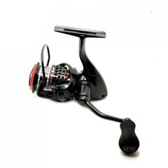 Kela Okuma Ceymar XT Match CXT - 40MS hinta ja tiedot | Kelat | hobbyhall.fi