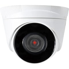 IP-kamera Hikvision 6942160436951 hinta ja tiedot | Valvontakamerat | hobbyhall.fi