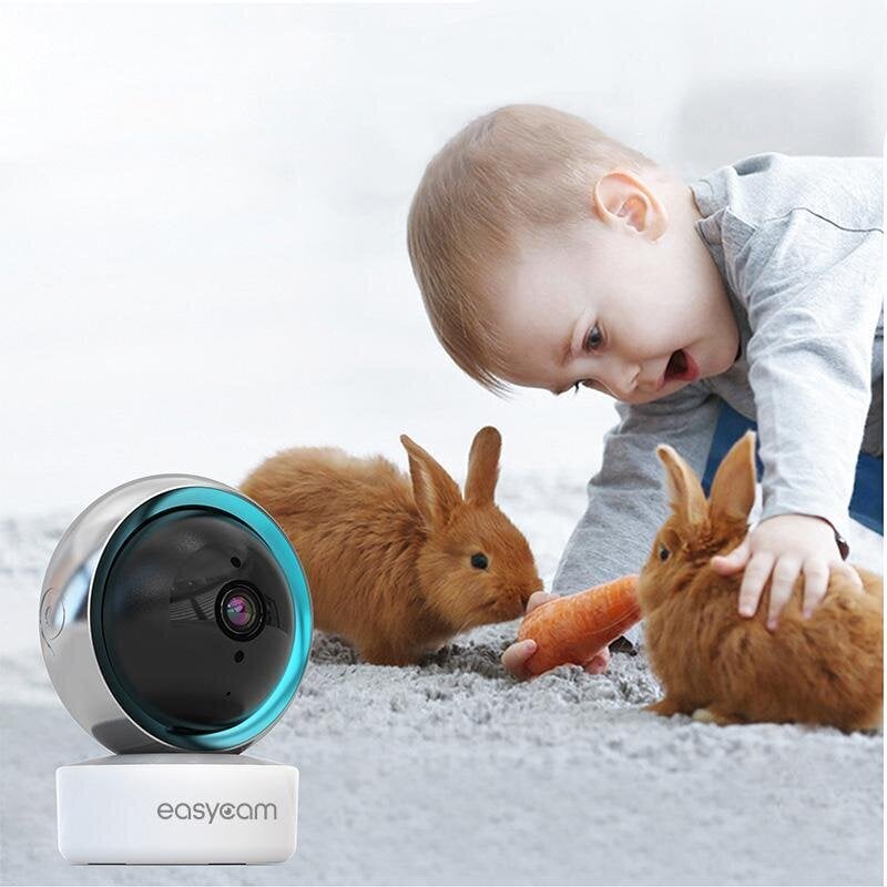 Videovalvontakamera EasyCam hinta ja tiedot | Valvontakamerat | hobbyhall.fi