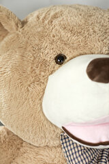 Nalle Harry 190 cm hinta ja tiedot | Pehmolelut | hobbyhall.fi