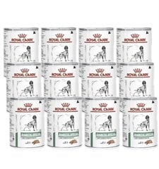 Royal Canin Diabetic Special aikuisille diabeetikko koirille, 12x410 g hinta ja tiedot | Koiran märkäruoka | hobbyhall.fi