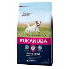 Eukanuba Adult Small, kanaa, 12 kg hinta ja tiedot | Koiran kuivaruoka | hobbyhall.fi