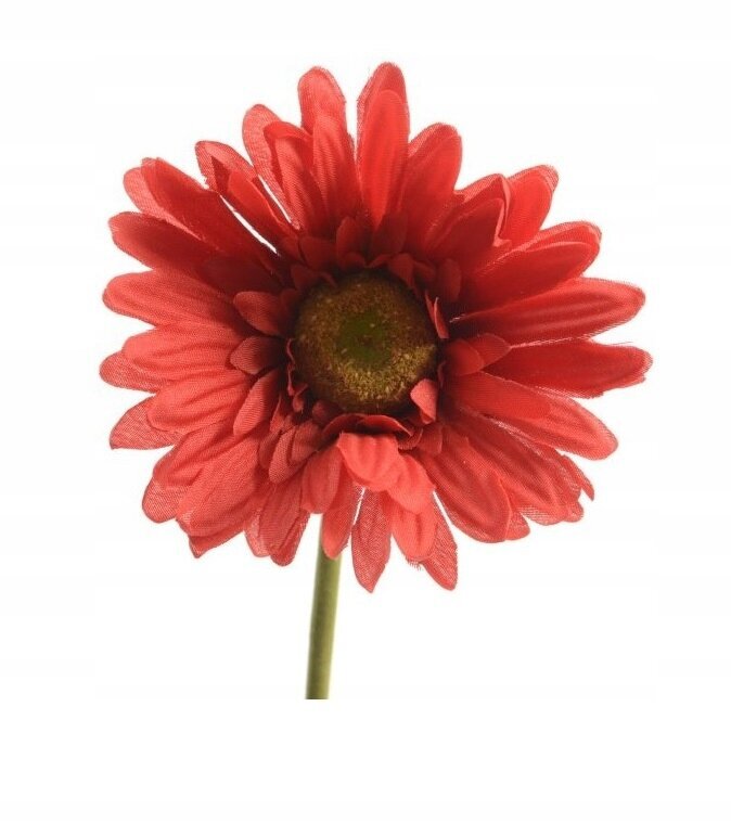 Keinotekoinen punainen gerbera maljakkoon 50 cm hinta ja tiedot | Sisustustuotteet | hobbyhall.fi