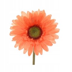 Keinotekoinen punainen gerbera maljakkoon 50 cm hinta ja tiedot | Sisustustuotteet | hobbyhall.fi