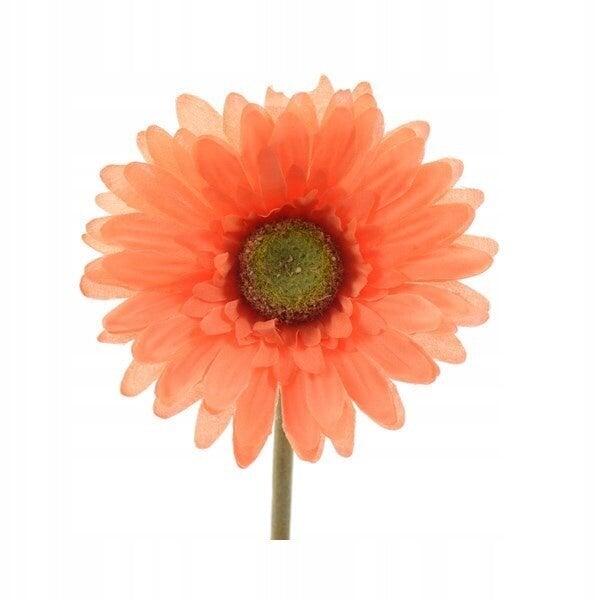 Keinotekoinen punainen gerbera maljakkoon 50 cm hinta ja tiedot | Sisustustuotteet | hobbyhall.fi