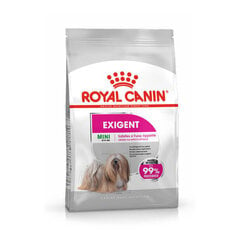 Royal Canin CCN Mini Exigent koiran täysravinto, 3 kg hinta ja tiedot | Koiran kuivaruoka | hobbyhall.fi