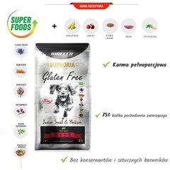 Biofeed Euphoria Gluten Free Junior Small&Medium naudanlihaa, 12kg hinta ja tiedot | Koiran kuivaruoka | hobbyhall.fi