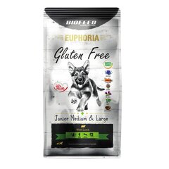 Biofeed Euphoria Gluten Free Junior Medium&Large lammasta, 12 kg hinta ja tiedot | Koiran kuivaruoka | hobbyhall.fi