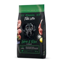 Fitmin for Life Lamb&Rice, 12 kg hinta ja tiedot | Koiran kuivaruoka | hobbyhall.fi