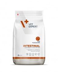 VetExpert Veterinary Diet Cat Intestinal, 2 kg hinta ja tiedot | Kissan kuivaruoka | hobbyhall.fi