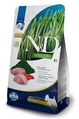 Farmina N&D Spirulina Lamb Adult Mini, lammasta, 2 kg hinta ja tiedot | Koiran kuivaruoka | hobbyhall.fi