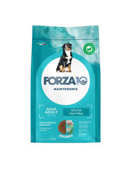 Forza10 Maintenance Adult Maxi Fish, 12 kg hinta ja tiedot | Forza 10 Lemmikit | hobbyhall.fi