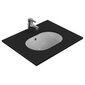 Keraaminen pesuallas Ideal Standard Connect Oval 48x35cm. Asennettu alhaalta, valkoinen. E504601 hinta ja tiedot | Pesualtaat | hobbyhall.fi