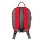 Lasten reppu LittleLife Kids Ladybird, 6 l, punainen hinta ja tiedot | Koulureput ja -laukut | hobbyhall.fi