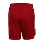 Miesten urheilushortsit Adidas Condivo 20, punainen hinta ja tiedot | Miesten urheiluvaatteet | hobbyhall.fi