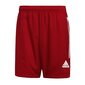 Miesten urheilushortsit Adidas Condivo 20, punainen hinta ja tiedot | Miesten urheiluvaatteet | hobbyhall.fi