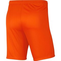 Miesten urheilushortsit Nike Dry Park III NB KM BV6855 819 (51727) hinta ja tiedot | Miesten urheiluvaatteet | hobbyhall.fi