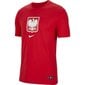 Miesten urheilu T-paita Nike Poland TEE Evergreen Crest M CU9191 611, 54241, punainen hinta ja tiedot | Miesten urheiluvaatteet | hobbyhall.fi