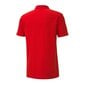 Miesten urheilupaita Puma teamGoal 23 656579-01, punainen hinta ja tiedot | Miesten urheiluvaatteet | hobbyhall.fi