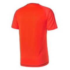 Miesten urheilupaita Adidas tiro 17 M BQ2809, oranssi hinta ja tiedot | Miesten urheiluvaatteet | hobbyhall.fi