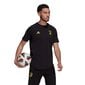 Miesten t-paita Adidas Juventus Turin Travel M GR2912 hinta ja tiedot | Miesten urheiluvaatteet | hobbyhall.fi