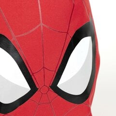 Lasten laukku Spiderman Red (9 x 20 x 25 cm) hinta ja tiedot | Koulureput ja -laukut | hobbyhall.fi