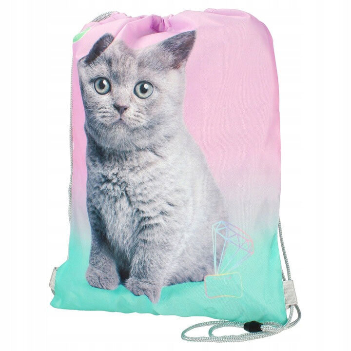 Esikoululaisen reppu pussilla ja kynällä Starpak Ombre kissanpentu 506948, 25x20x9 cm hinta ja tiedot | Koulureput ja -laukut | hobbyhall.fi