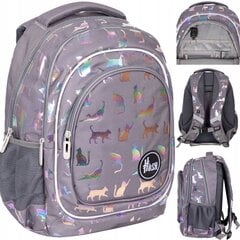 Koulureppu Hash AB330 Holo Ultraviolet Cats 502022130, 20 l hinta ja tiedot | Koulureput ja -laukut | hobbyhall.fi