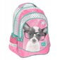 Koulureppu Paso Puppy PTD-181, 22 l, 43x30x22 cm hinta ja tiedot | Koulureput ja -laukut | hobbyhall.fi