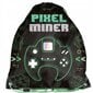 Koulureppu tarvikkeineen Paso Minecraft PP23HL-116, 3 d.i.u hinta ja tiedot | Koulureput ja -laukut | hobbyhall.fi