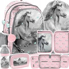 Koulureppu tarvikkeineen Paso Horse PP23KO-081, 5 osaa hinta ja tiedot | Koulureput ja -laukut | hobbyhall.fi