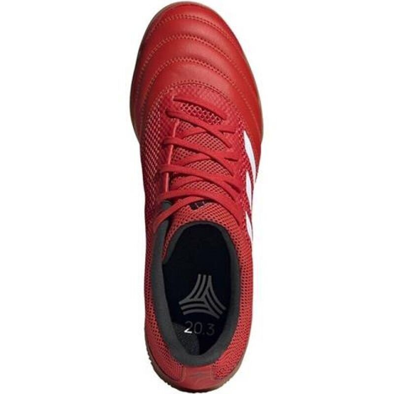 Miesten jalkapallokengät Adidas Copa 20.3 IN SALA M G28548 52371 hinta ja tiedot | Jalkapallokengät | hobbyhall.fi