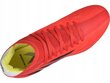 Jalkapallokengät Adidas X Speedflow.3 FG hinta ja tiedot | Jalkapallokengät | hobbyhall.fi