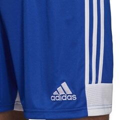 Miesten shortsit Adidas Tastigo 19 M DP3682, sininen hinta ja tiedot | Miesten shortsit | hobbyhall.fi