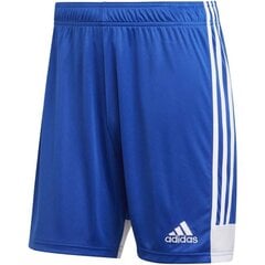 Miesten shortsit Adidas Tastigo 19 M DP3682, sininen hinta ja tiedot | Miesten shortsit | hobbyhall.fi