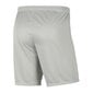 Miesten shortsit Nike Dry Park III M BV6855-017, harmaa hinta ja tiedot | Miesten shortsit | hobbyhall.fi