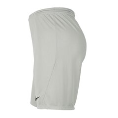 Miesten shortsit Nike Dry Park III M BV6855-017, harmaa hinta ja tiedot | Miesten shortsit | hobbyhall.fi