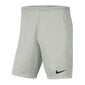 Miesten shortsit Nike Dry Park III M BV6855-017, harmaa hinta ja tiedot | Miesten shortsit | hobbyhall.fi