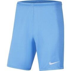 Miesten shortsit Nike Dry Park III M BV6855-412, sininen hinta ja tiedot | Miesten shortsit | hobbyhall.fi